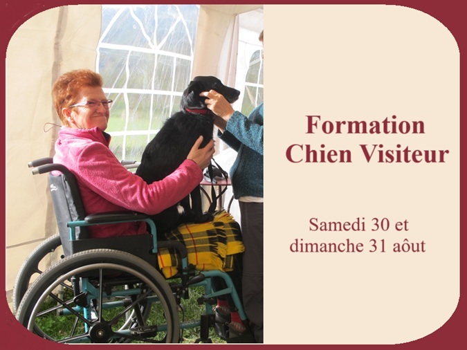 formation chien visiteur